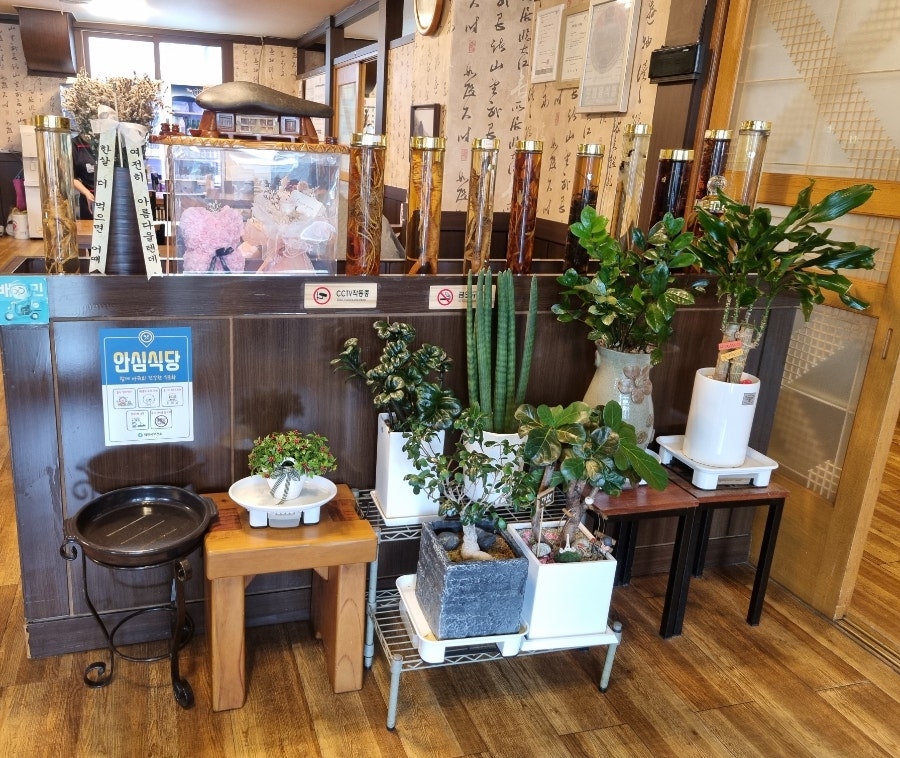 청풍명월 사진 5