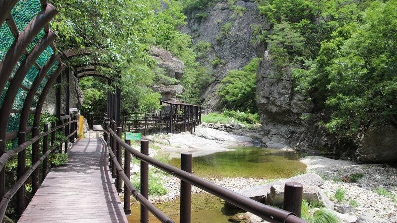 청송 주왕산국립공원 여행 가이드, 기암절벽과 계곡이 어우러진 경북 최고의 자연 명소