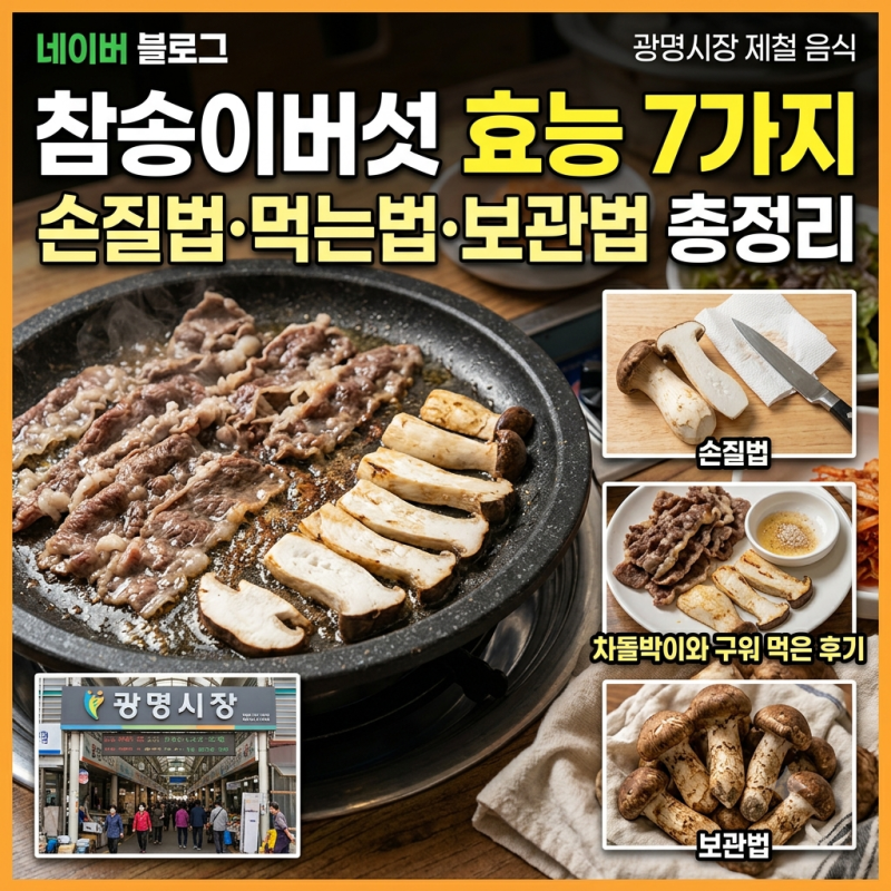 참송이버섯 효능 7가지, 손질법·먹는법·보관법 총정리｜차돌박이와 구워 먹은 후기 (+광명....