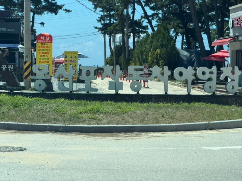 몽산포해수욕장 자동차야영장 차박 후기, 한여름에도 시원한 그늘 명당 발견!