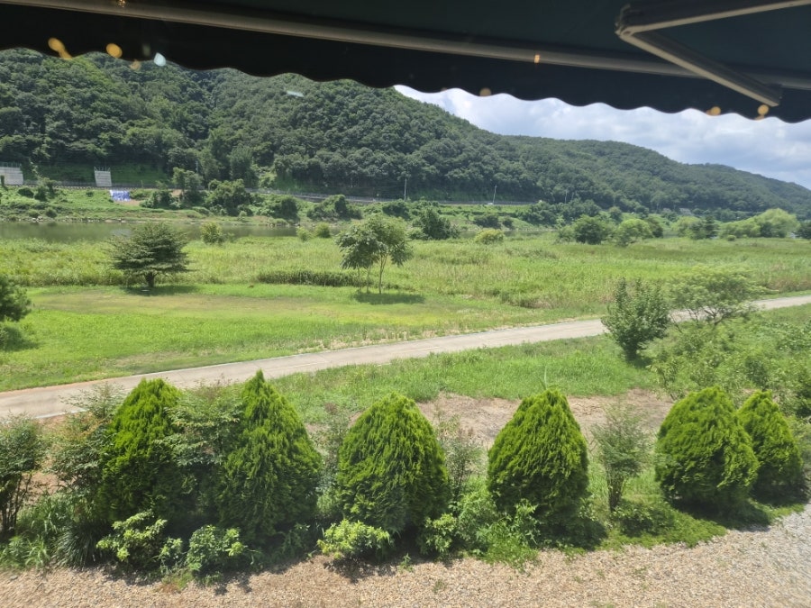 초당손칼국수보쌈 사진 2