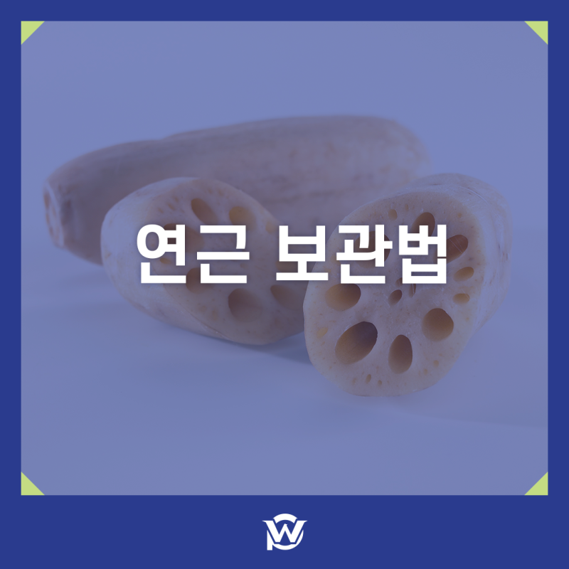 연근 보관법 오래 아삭하게 유지하는 비결부터 영양성분까지