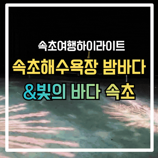 속초가볼만한곳 속초해수욕장 야간개장 꿀팁,빛의바다 미디어아트 일정