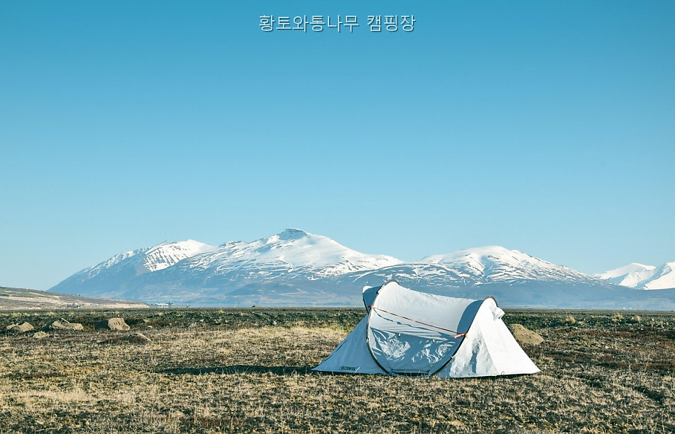 황토와통나무캠핑장 사진 3