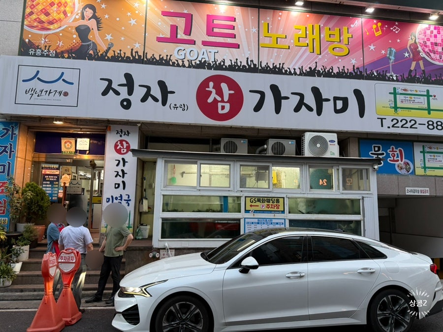 정자참가자미 사진 1