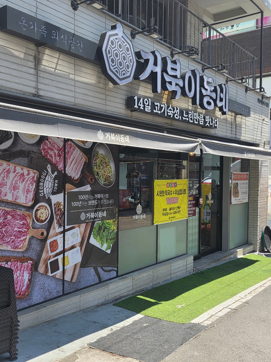 거북이 사진 1