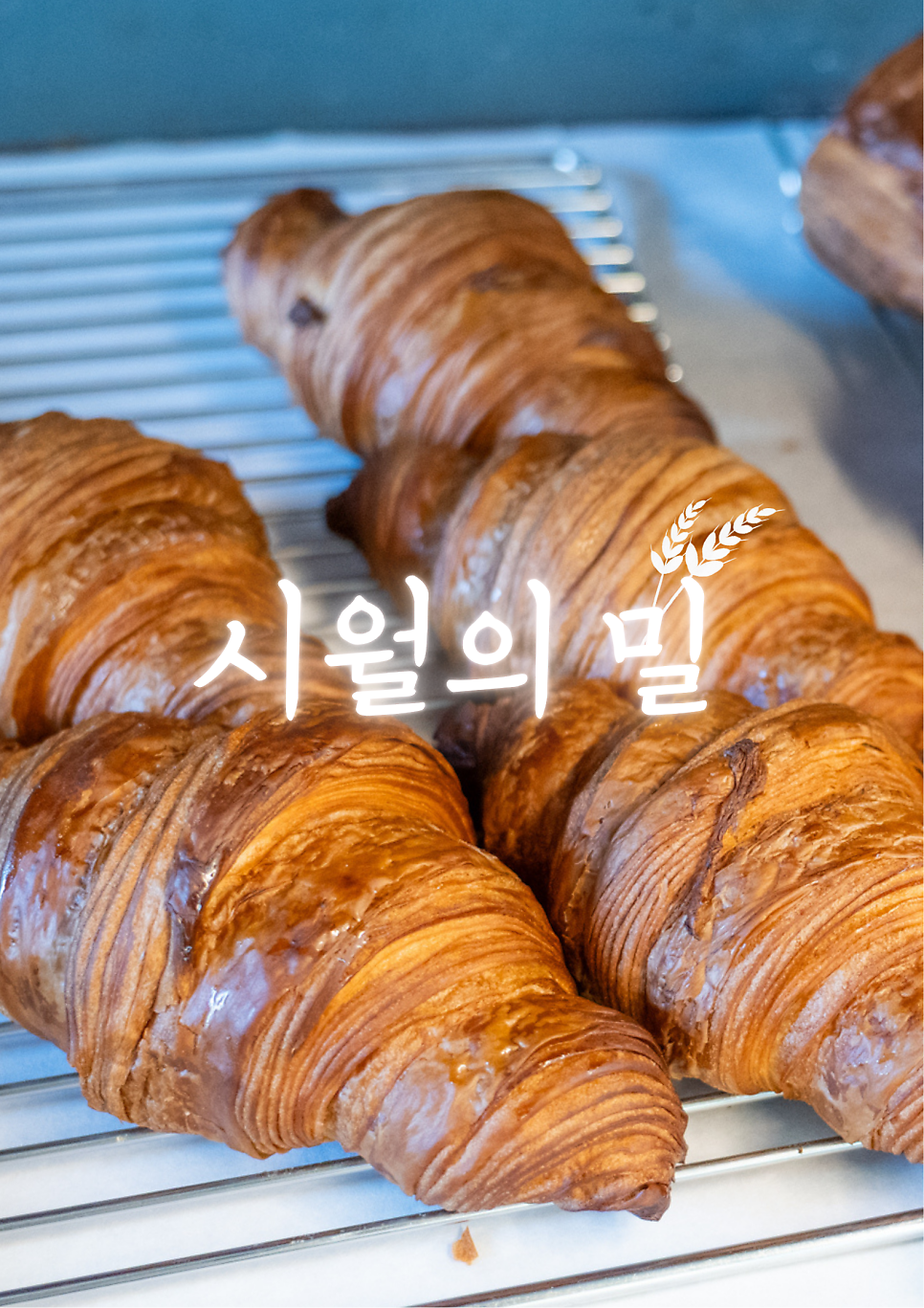시월 사진 1