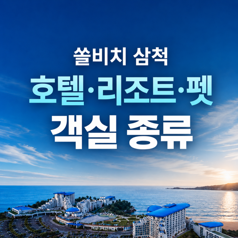 쏠비치 삼척 객실 종류 총정리｜호텔·리조트·펫 객실 차이까지