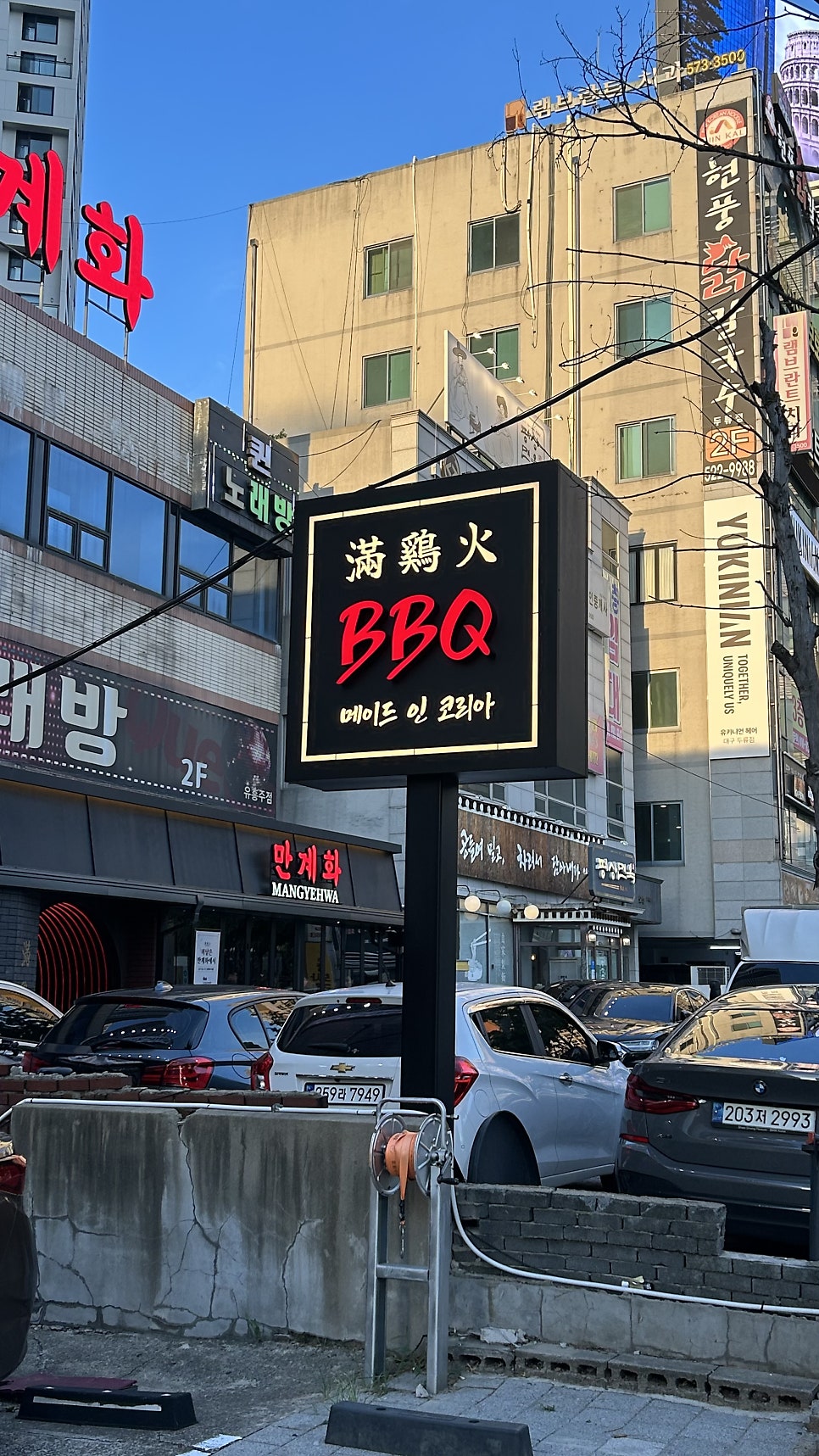 계화 사진 1