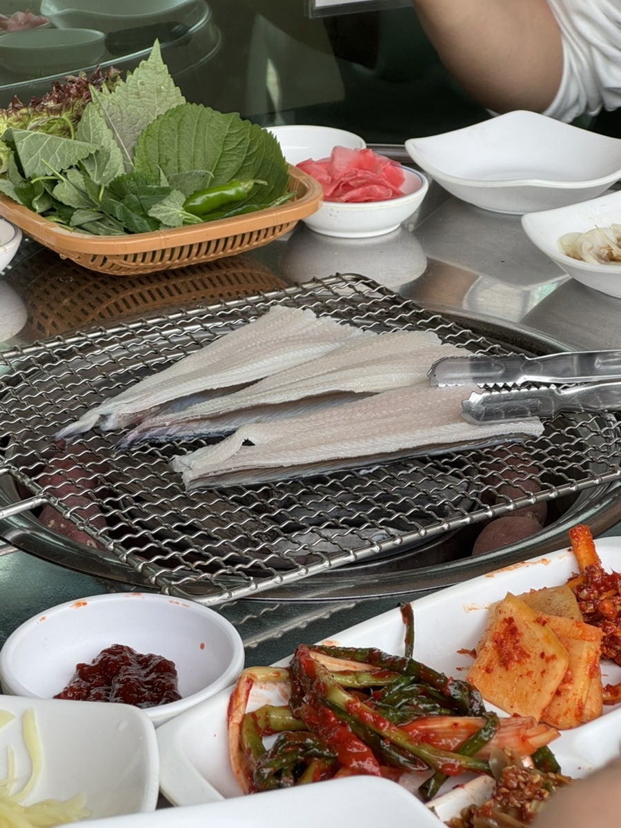 토담바다장어 사진 5