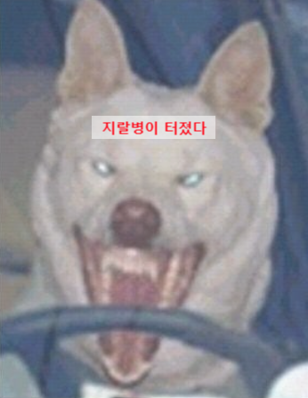 [임신일기]16.임신성당뇨(임당) '지연성고혈당' 확진(ft.전문의 임당Q&A),임신증상13