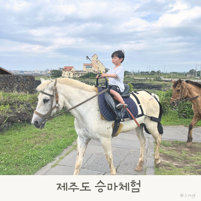 제주도 승마체험, 신창풍차해안행복승마에서 5살 아이와 세식구 20분 외승 다녀온 솔직 후기