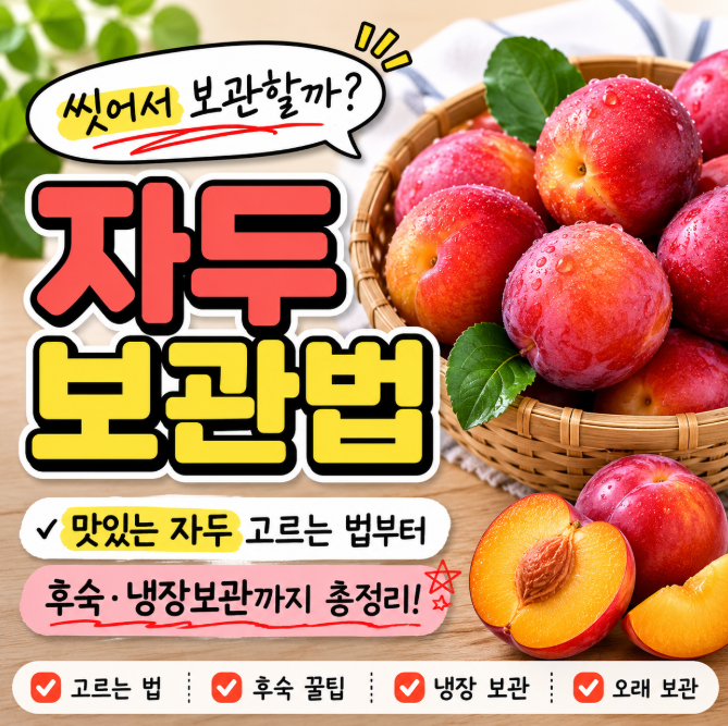 자두, 씻어서 보관할까? 맛있는 자두 고르는 법부터 후숙·냉장보관까지 총정리