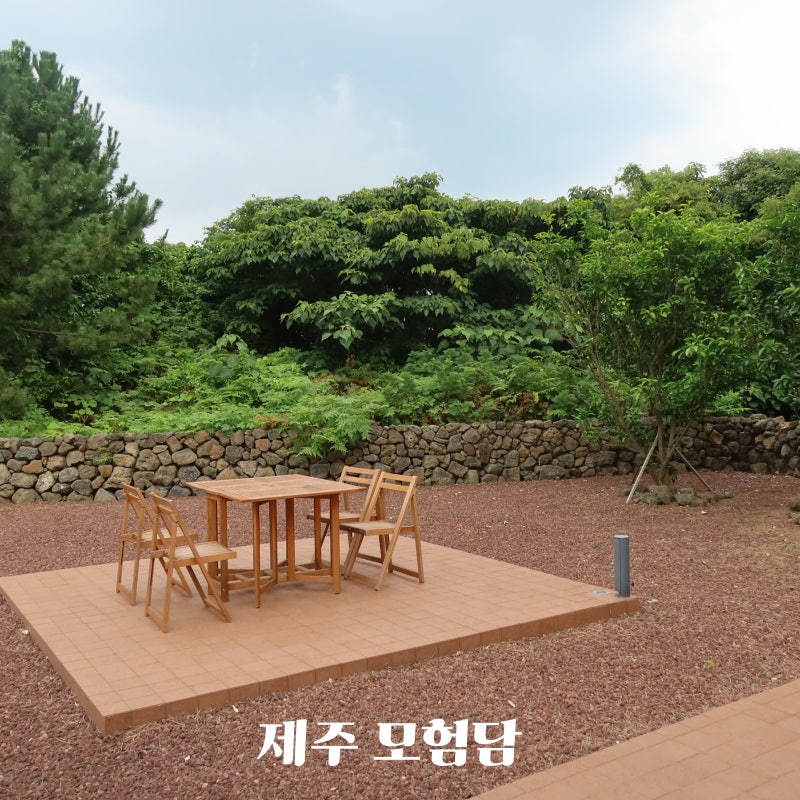 제주 동쪽 아기랑 독채숙소 모험담