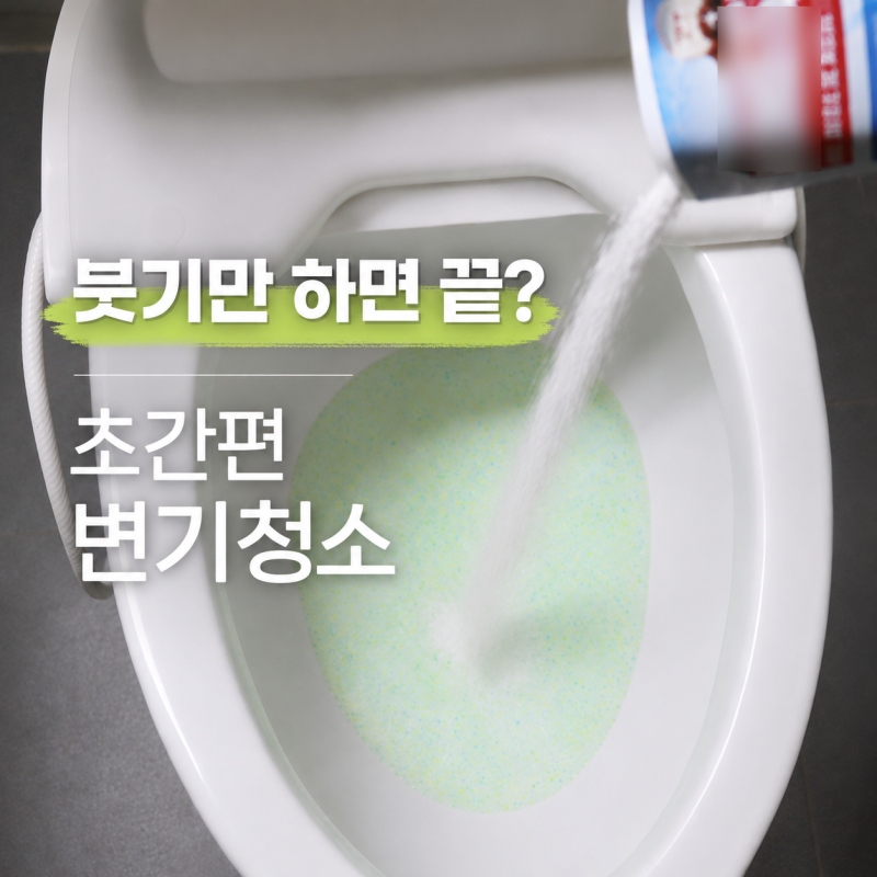 정말 붓기만 하면 끝? 다이소 추천템 변기청소 세정제