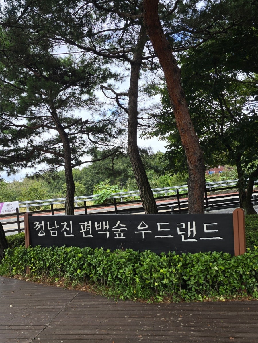 정남진편백숲우드랜드 사진 3