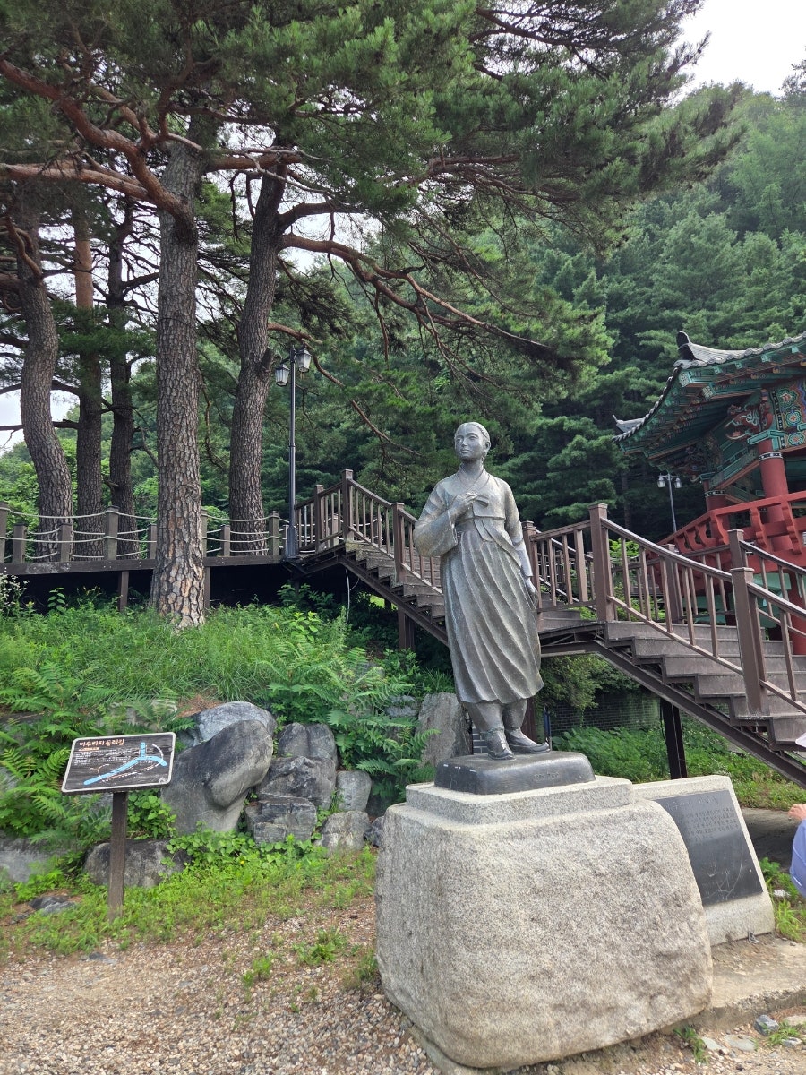 정선스테이 사진 3