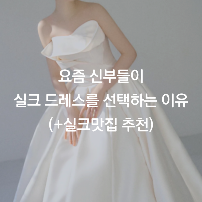 실크 드레스가 심심하다고? 미카도·새틴·오간자 소재별 차이와 추천 업체