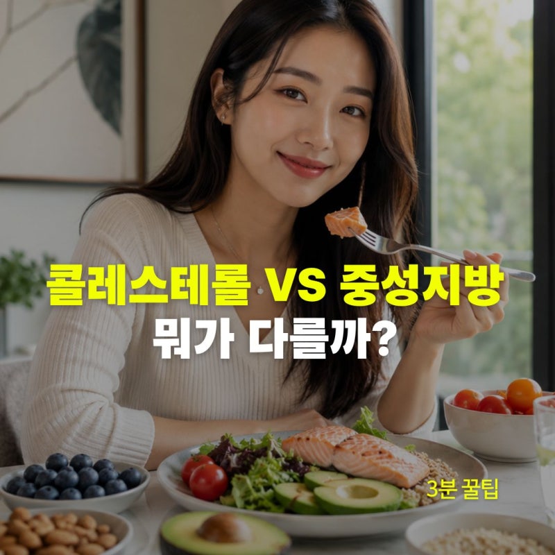 콜레스테롤 VS 중성지방, 차이 모르면 절대 안되는 이유?