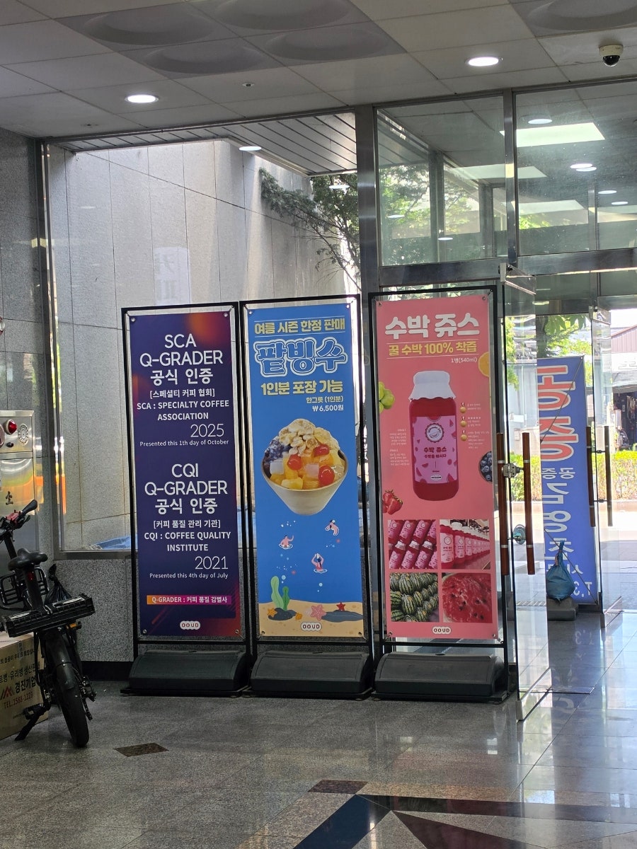 딘 사진 5