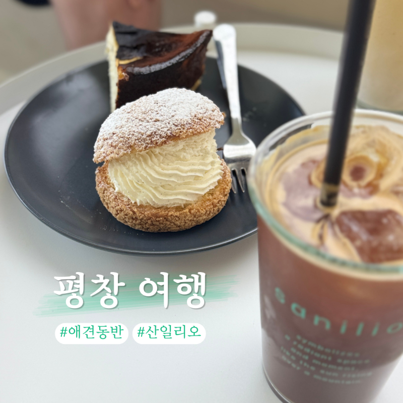평창 여행 애견동반 카페 횡성 산일리오 강아지 산책하기 좋은 곳
