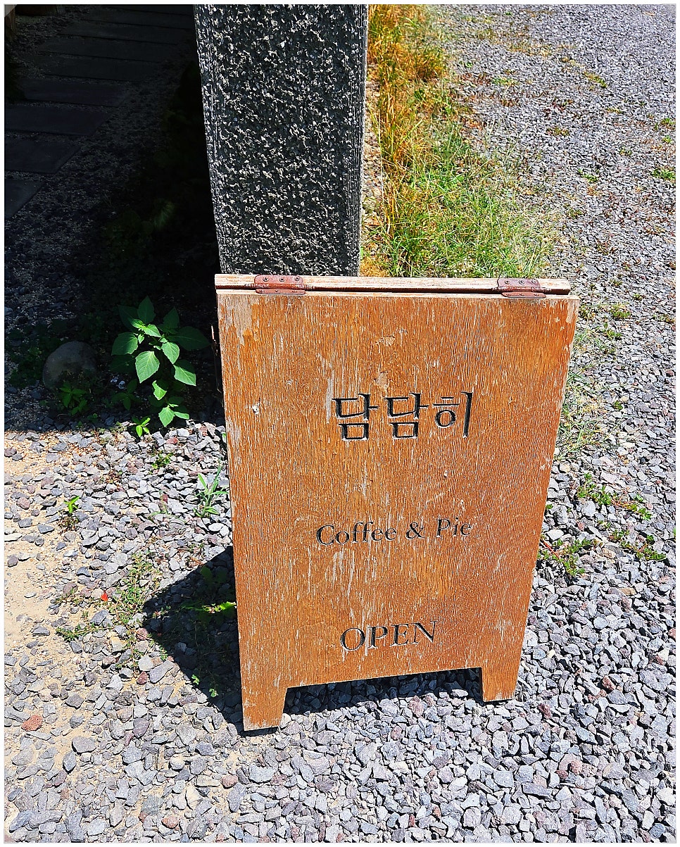 담담히 사진 2
