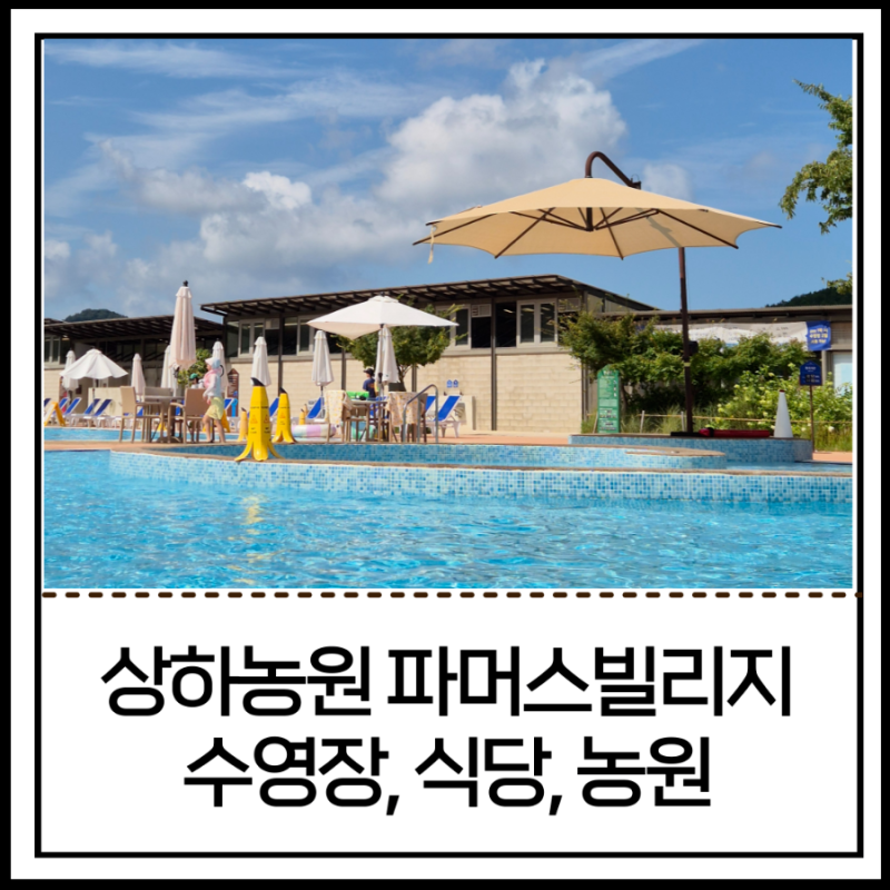 고창 상하농원 파머스빌리지, 아기랑 수영장 스파 먹이주기 체험까지 즐긴 하루