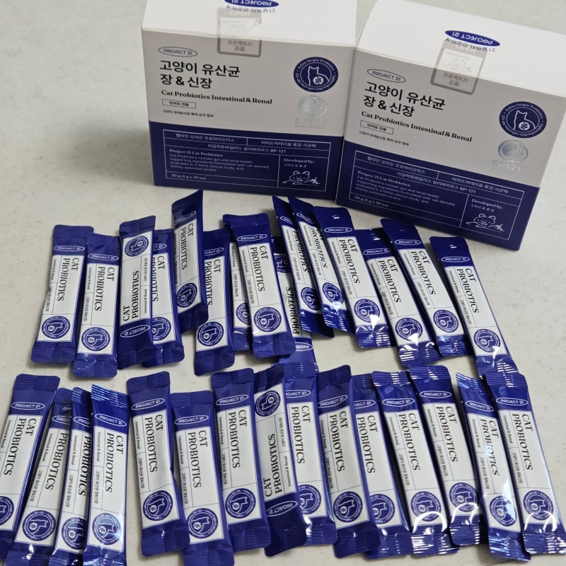 고양이 유산균 추천 프로젝트21 장&신장 케어 급여 후기