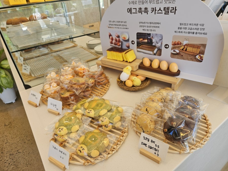 파인40 사진 6