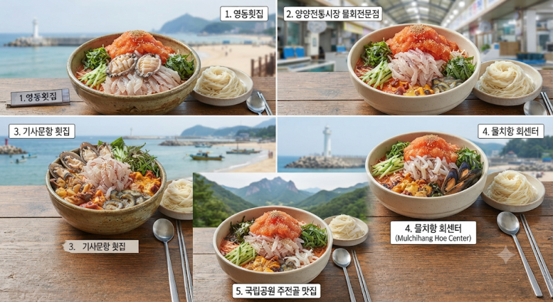 양양 물회 맛집 베스트 5 시원하고 새콤달콤한 현지인 추천 횟집 총정리