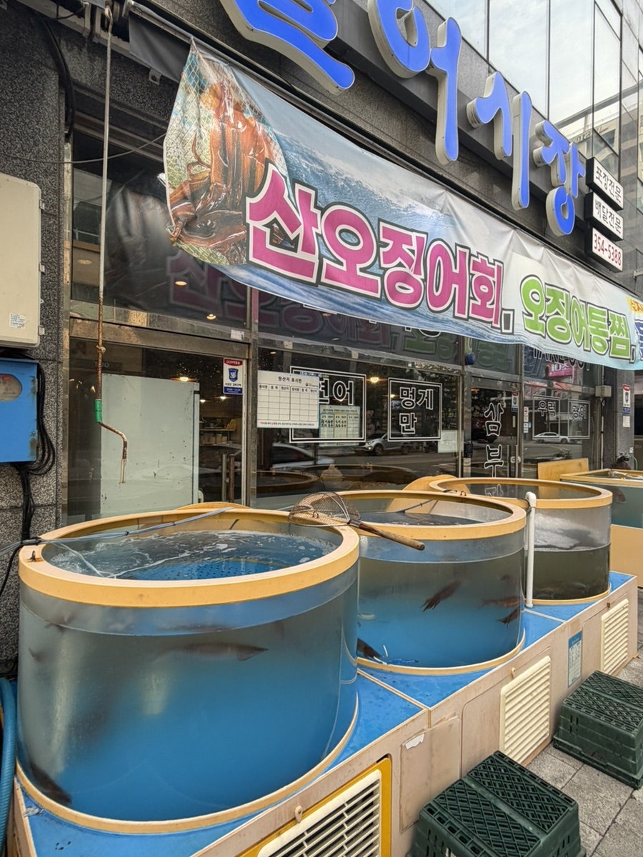 삼부자활어시장 사진 4