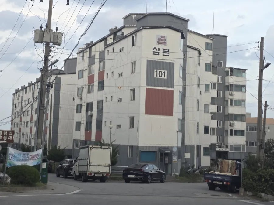 봄날 사진 2