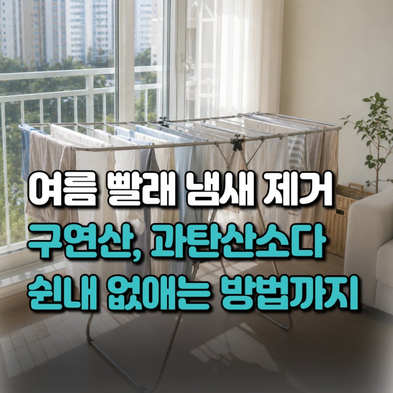 여름 빨래 냄새 제거! 식초·구연산·과탄산소다 활용법부터 쉰내 없애는 방법까지