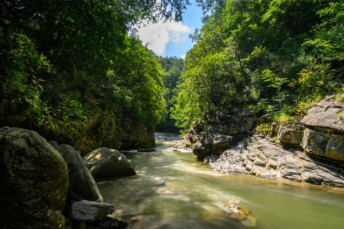 덕산기계곡 사진 6