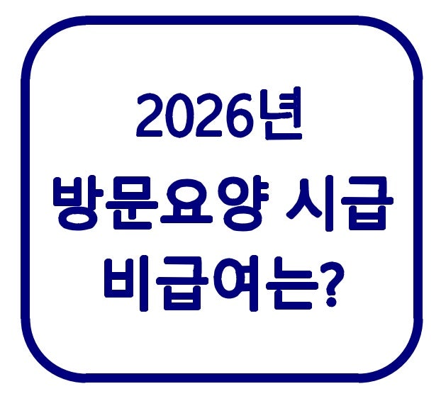 2026 방문요양 요양보호사 급여｜시급 1만3천 원, 비급여는 더 받을까?