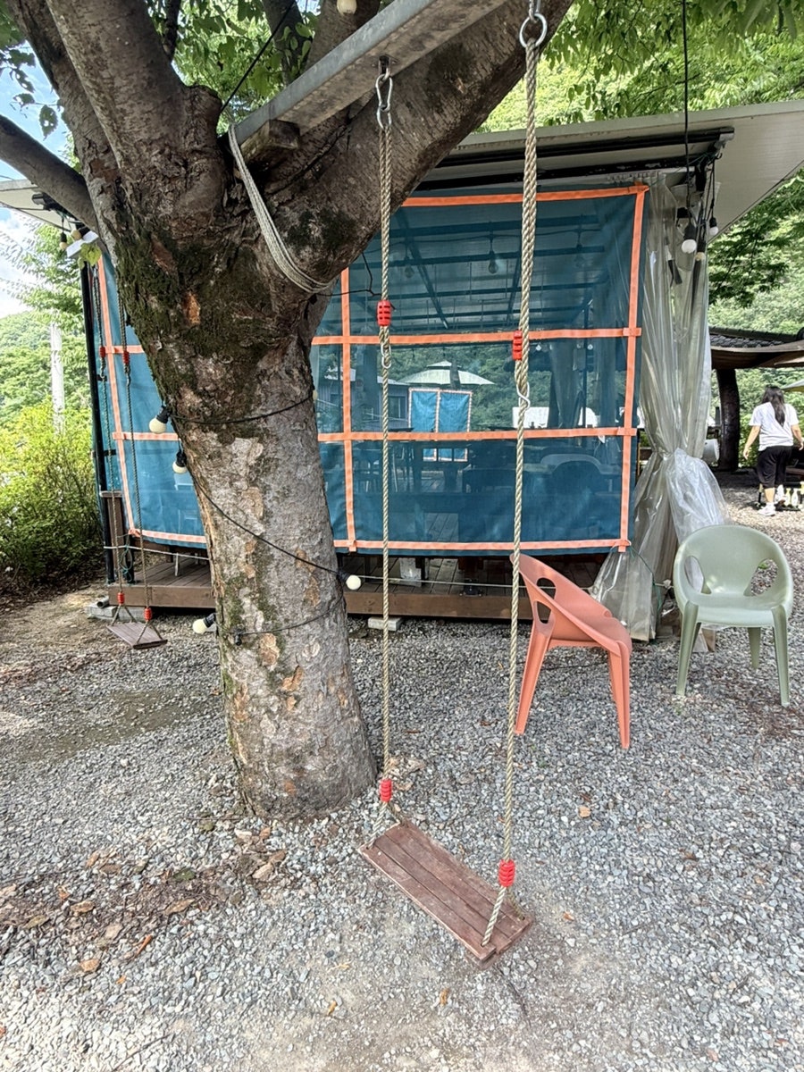 벚꽃집 사진 3