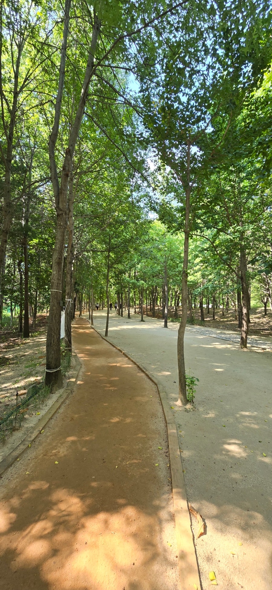 수목원 산책 사진 2