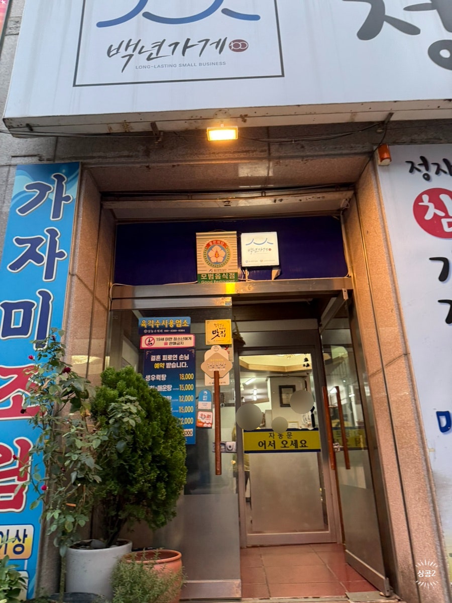 정자참가자미 사진 2