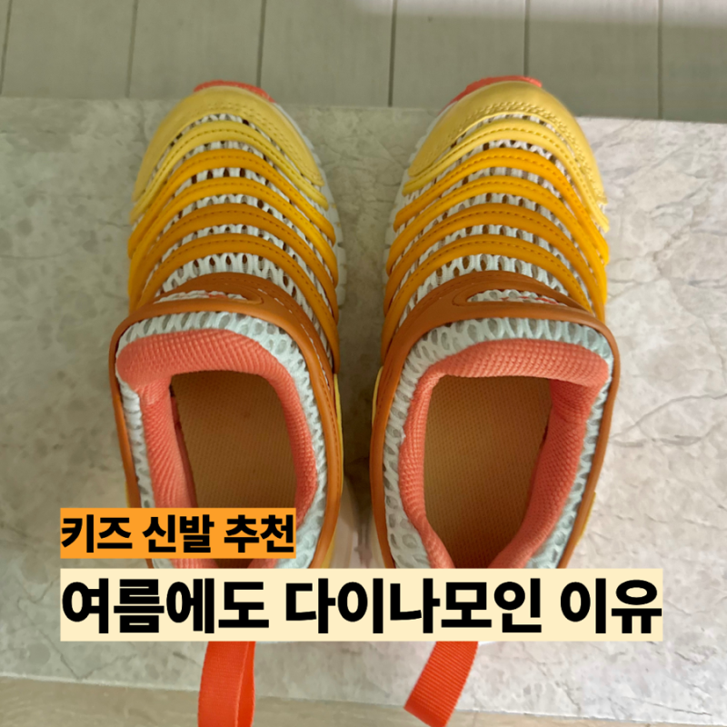 나이키 다이나모 프리 BR 2 180 사이즈 후기 여름에도 신기 좋은 이유