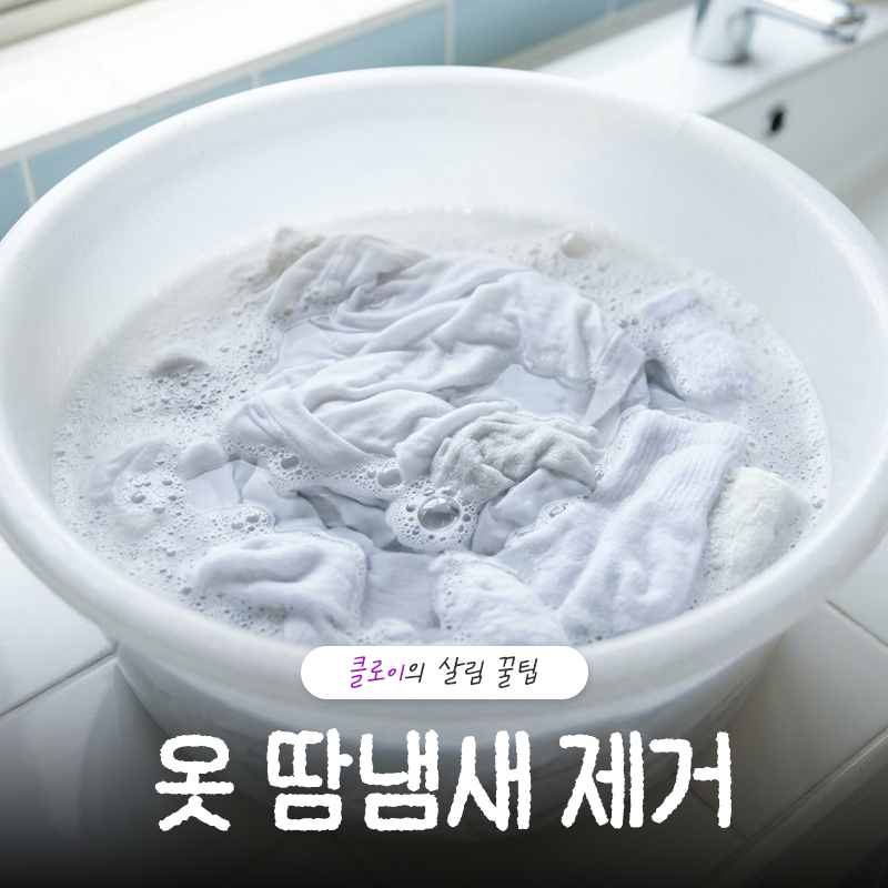 옷 땀냄새 제거, 세탁 전 30분에서 갈리는 이유