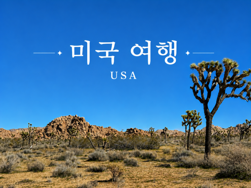 미국 여행 준비물 총정리! 물가, 환전, 현금, 신용카드, 여행경비 절약 팁