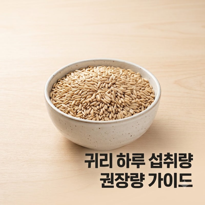 귀리 하루 섭취량 얼마일까? 오트밀 차이점과 부작용 정리