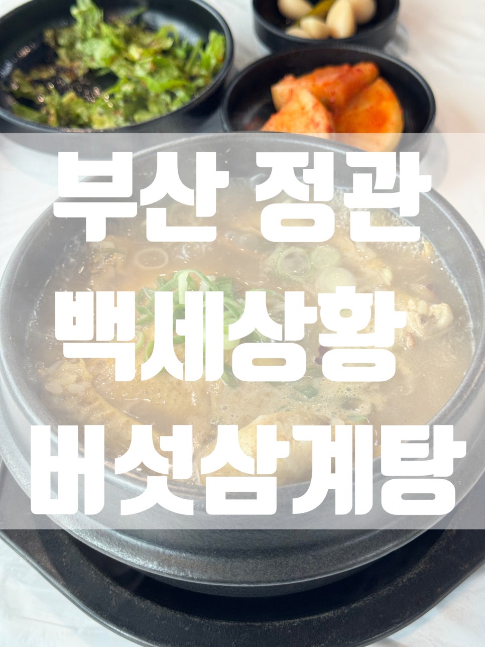 백세상황버섯삼계탕 사진 1