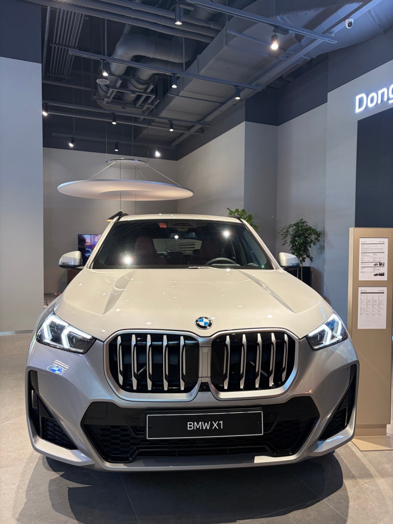 BMW X1xDrive 20i M Spt, 스페이스 실버, 카스타니아