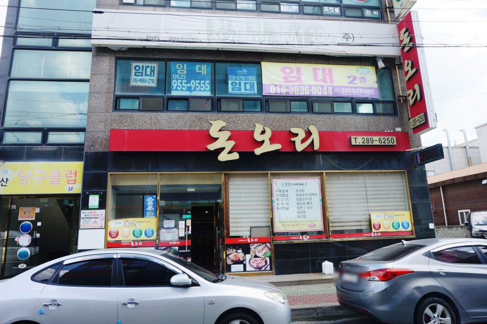 돈오리 사진 2