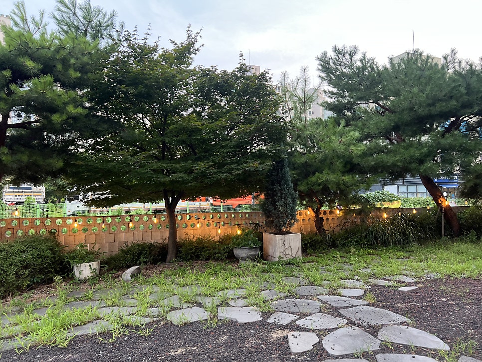 비치노 사진 3