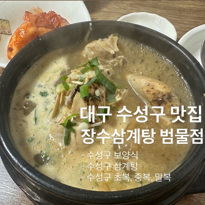 2026년 :: 대구 수성구 맛집 장수삼계탕 범물점 (수성구 보양식 /초복, 중복, 말복)