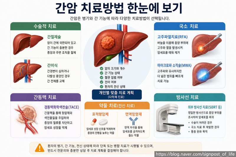 간암 수술비용부터 항암제 가격까지 총정리｜간암 치료비 얼마나 들까요?