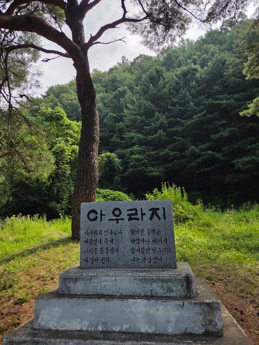 정선스테이 사진 1