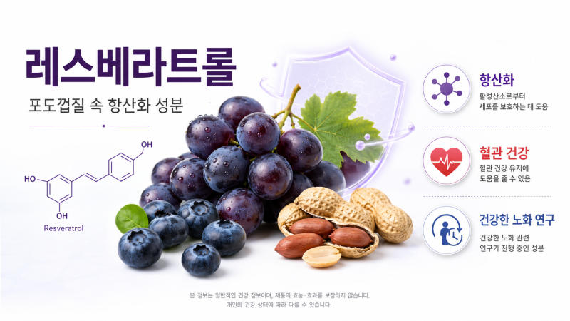 레스베라트롤 효능｜포도껍질 속 항산화 성분의 특징
